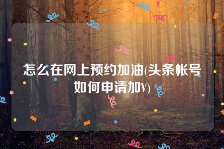 怎么在网上预约加油(头条帐号如何申请加V)