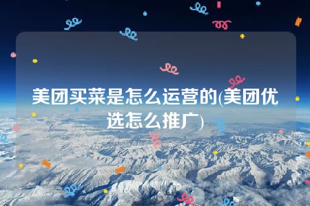 美团买菜是怎么运营的(美团优选怎么推广)