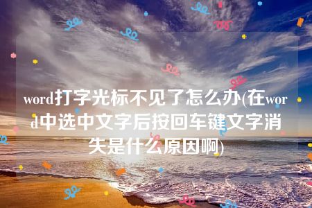 word打字光标不见了怎么办(在word中选中文字后按回车键文字消失是什么原因啊)