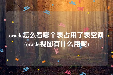 oracle怎么看哪个表占用了表空间(oracle视图有什么用呢)