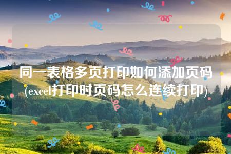 同一表格多页打印如何添加页码(excel打印时页码怎么连续打印)