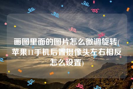 画图里面的图片怎么微调旋转(苹果11手机后置摄像头左右相反怎么设置)