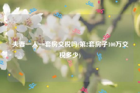 夫妻一人一套房交税吗(第2套房子100万交税多少)