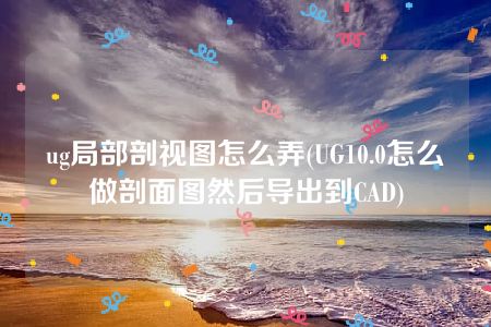 ug局部剖视图怎么弄(UG10.0怎么做剖面图然后导出到CAD)