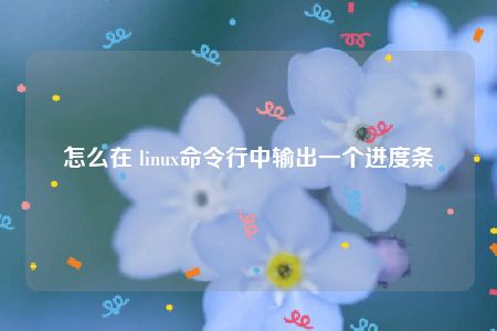 怎么在 linux命令行中输出一个进度条