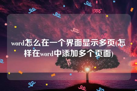 word怎么在一个界面显示多页(怎样在word中添加多个页面)