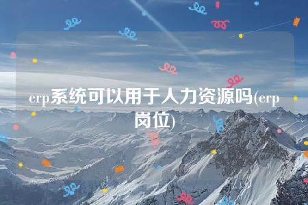 erp系统可以用于人力资源吗(erp岗位)