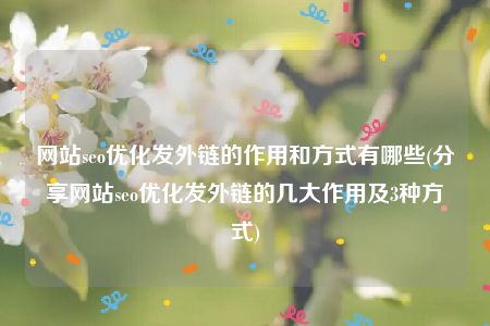 网站seo优化发外链的作用和方式有哪些(分享网站seo优化发外链的几大作用及3种方式)