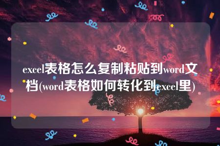 excel表格怎么复制粘贴到word文档(word表格如何转化到excel里)