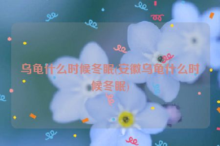 乌龟什么时候冬眠(安徽乌龟什么时候冬眠)