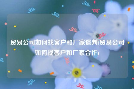 贸易公司如何找客户和厂家谈判(贸易公司如何找客户和厂家合作)