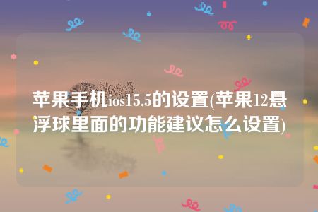 苹果手机ios15.5的设置(苹果12悬浮球里面的功能建议怎么设置)