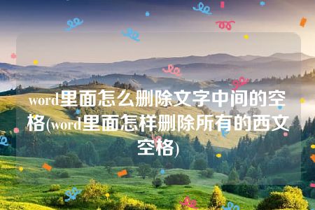 word里面怎么删除文字中间的空格(word里面怎样删除所有的西文空格)