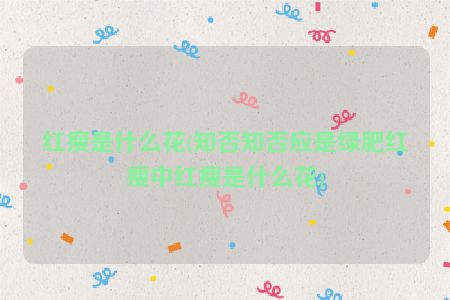 红瘦是什么花(知否知否应是绿肥红瘦中红瘦是什么花)