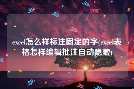 excel怎么样标注固定的字(excel表格怎样编辑批注自动隐藏)