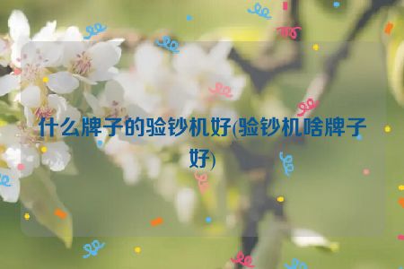 什么牌子的验钞机好(验钞机啥牌子好)