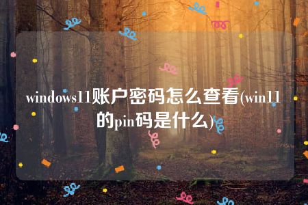 windows11账户密码怎么查看(win11的pin码是什么)