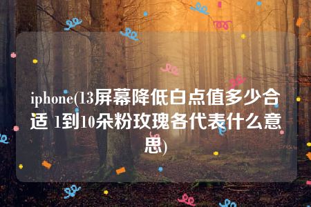 iphone(13屏幕降低白点值多少合适 1到10朵粉玫瑰各代表什么意思)