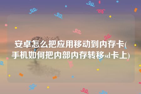 安卓怎么把应用移动到内存卡(手机如何把内部内存转移sd卡上)