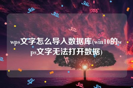 wps文字怎么导入数据库(win10的wps文字无法打开数据)