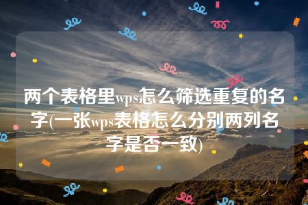 两个表格里wps怎么筛选重复的名字(一张wps表格怎么分别两列名字是否一致)