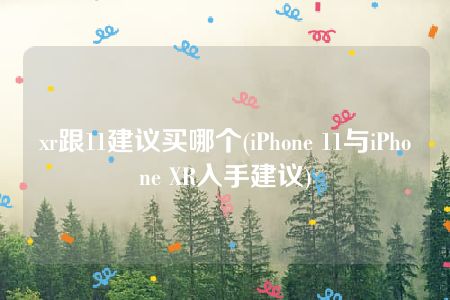 xr跟11建议买哪个(iPhone 11与iPhone XR入手建议)