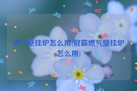 燃气壁挂炉怎么用(冠霸燃气壁挂炉怎么用)