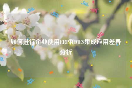 如何进行企业使用ERP和MES集成应用差异分析