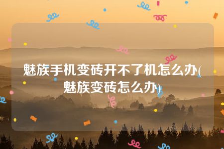 魅族手机变砖开不了机怎么办(魅族变砖怎么办)