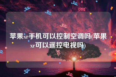 苹果xr手机可以控制空调吗(苹果xr可以遥控电视吗)