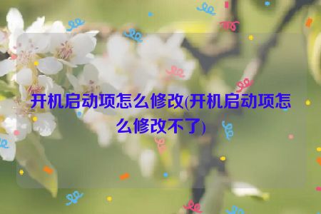 开机启动项怎么修改(开机启动项怎么修改不了)