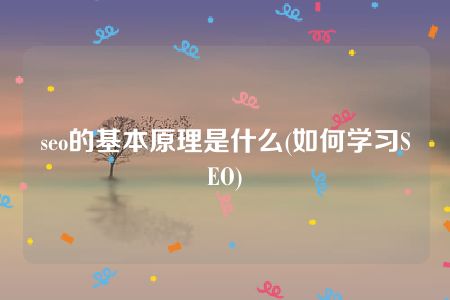 seo的基本原理是什么(如何学习SEO)