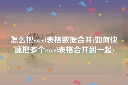 怎么把excel表格数据合并(如何快速把多个excel表格合并到一起)