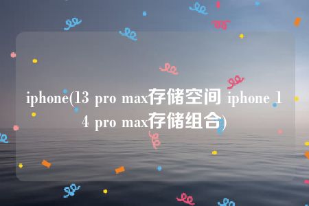 iphone(13 pro max存储空间 iphone 14 pro max存储组合)