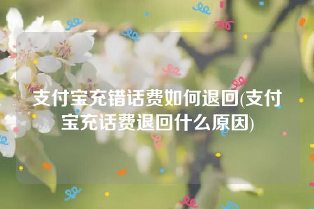 支付宝充错话费如何退回(支付宝充话费退回什么原因)