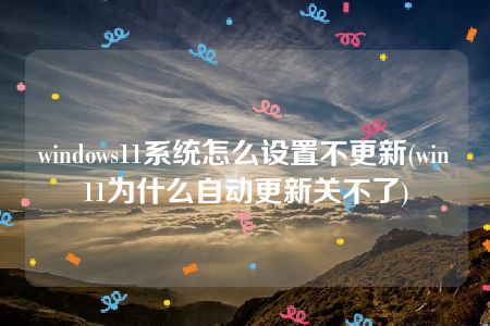 windows11系统怎么设置不更新(win11为什么自动更新关不了)