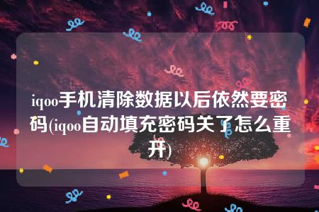 iqoo手机清除数据以后依然要密码(iqoo自动填充密码关了怎么重开)