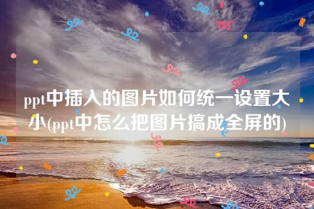 ppt中插入的图片如何统一设置大小(ppt中怎么把图片搞成全屏的)