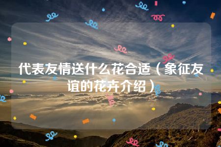 代表友情送什么花合适（象征友谊的花卉介绍）