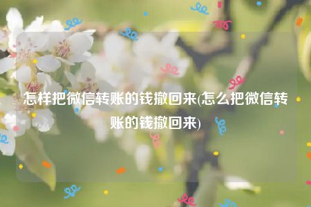 怎样把微信转账的钱撤回来(怎么把微信转账的钱撤回来)