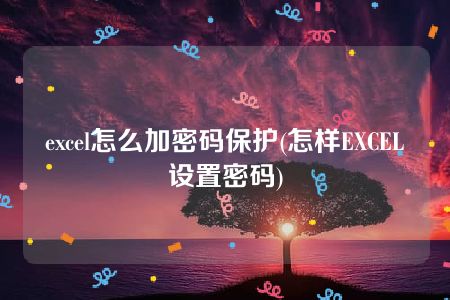 excel怎么加密码保护(怎样EXCEL设置密码)