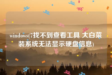 windows(7找不到查看工具 大白菜装系统无法显示硬盘信息)