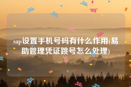 sap设置手机号码有什么作用(易助管理凭证跳号怎么处理)