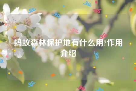 蚂蚁森林保护地有什么用?作用介绍