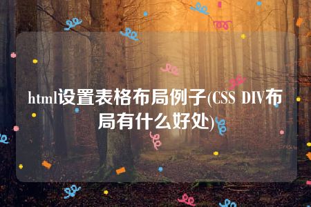 html设置表格布局例子(CSS DIV布局有什么好处)