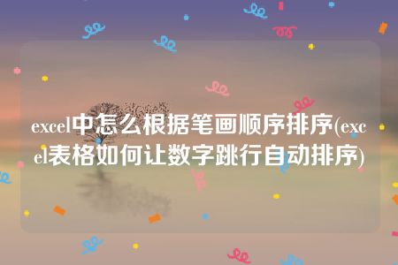 excel中怎么根据笔画顺序排序(excel表格如何让数字跳行自动排序)