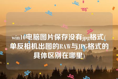 win10电脑图片保存没有jpg格式(单反相机出图的RAW与JPG格式的具体区别在哪里)