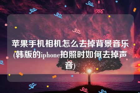 苹果手机相机怎么去掉背景音乐(韩版的iphone拍照时如何去掉声音)