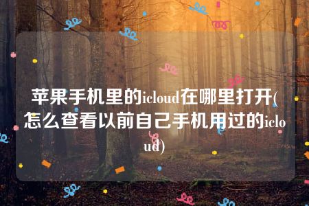 苹果手机里的icloud在哪里打开(怎么查看以前自己手机用过的icloud)