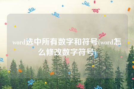 word选中所有数字和符号(word怎么修改数字符号)